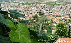 Manisa Tum_Ilceler ehir Bilgi Alaehir