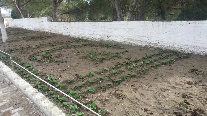 Manisa Kprba Yerel_Haberler - Kprba Mezarl ieklerle donatld
