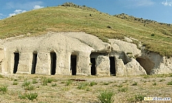 uhut Bininler Kayal