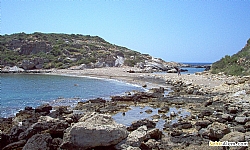 Didim Sapl Ada