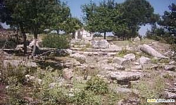 Koarl Amyzon (Maz Kalesi) Antik Kenti