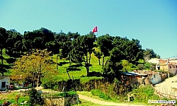 Alaehir Toptepe