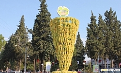 Sargl Sultani zm Festivali