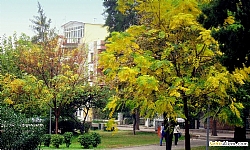 Bornova Kurtulu Park