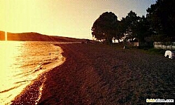 Foa amata Plaj