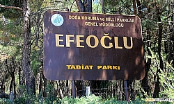Torbal Efeolu Park