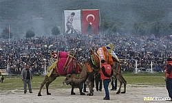 Torbal Deve Grei Festivali
