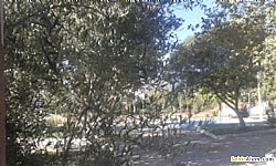 demi Kemal Nehrozolu Park